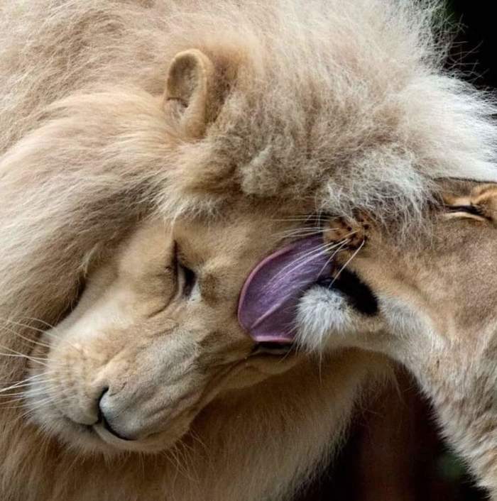 Ну хватит... Я ведь уже большой и твой царь!