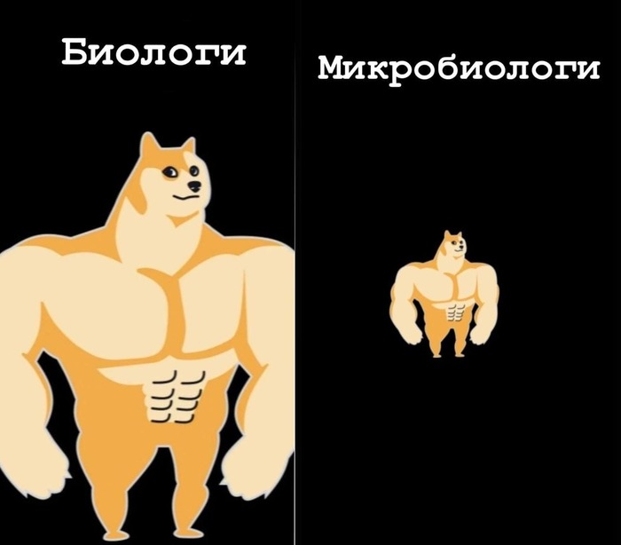 Минутка интеллектуального юмора