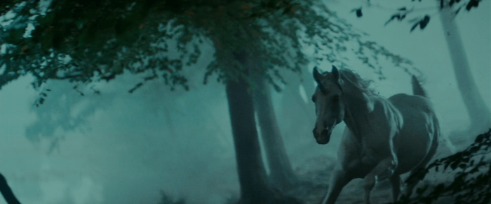 Лошадка из первого фильма