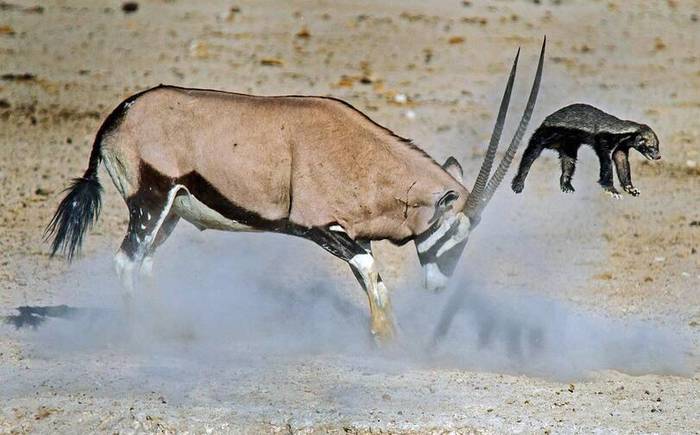 �������, �� �����...