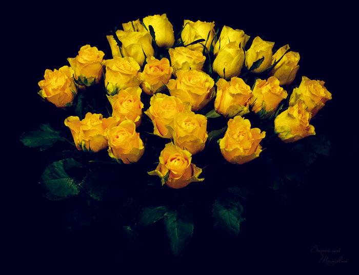  , Canon, , 