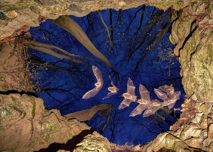 ������� ���������