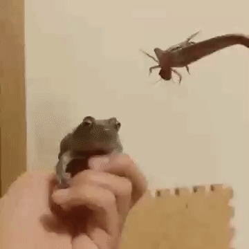   , , , 
