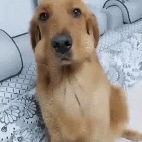  , , , 