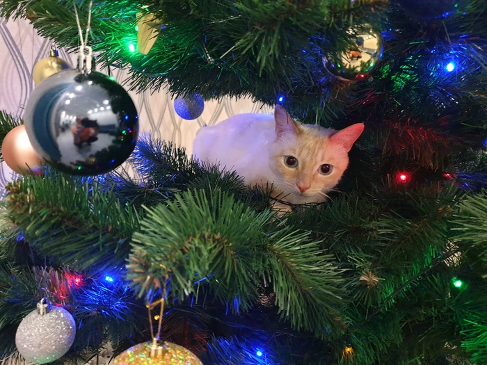 ����BACK'2022