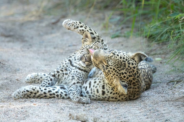 ���, � ��� ������