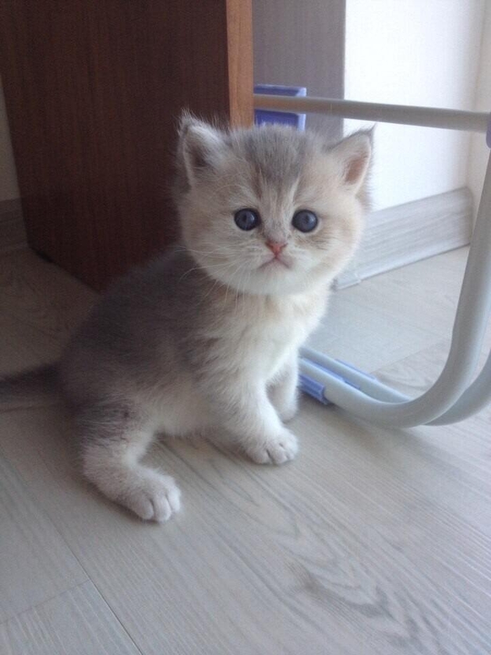 ����� �������