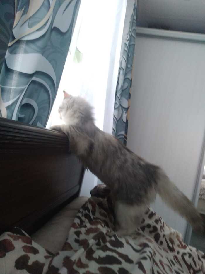 Мой первый пост. И так...Здравствуйте!!!