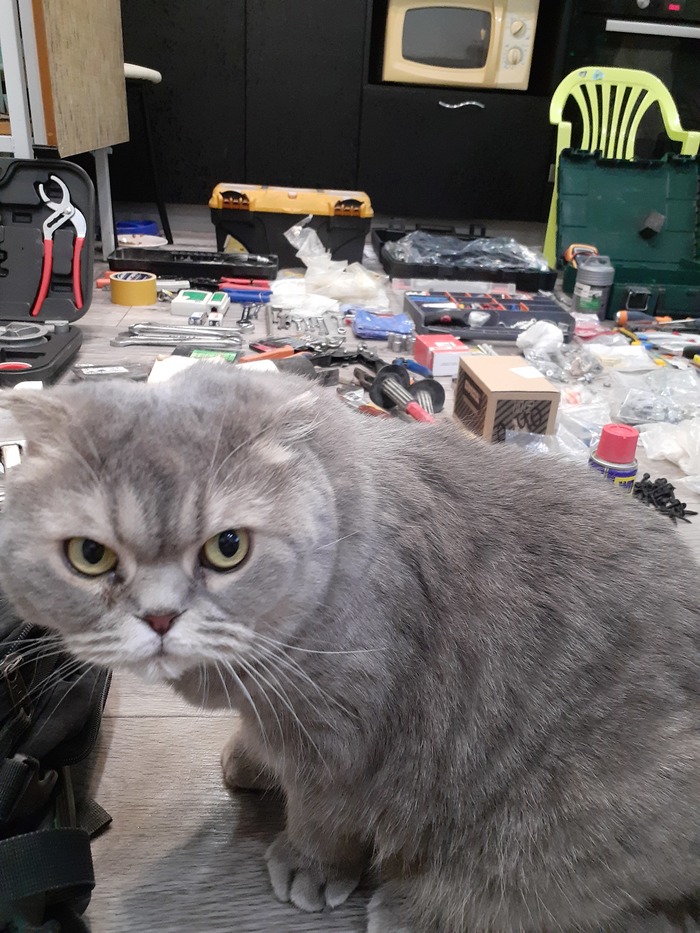   , , , , , , , , 