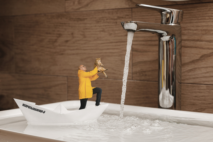 Как заставить своего кота пить