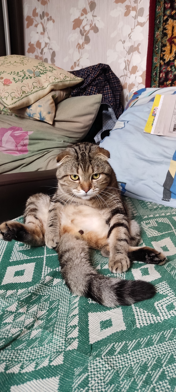 �� ��������? ���� ����...