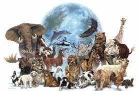  ,      2022 .          7.   