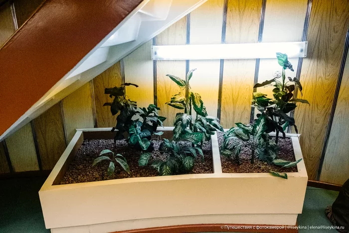 Как устроен быт на одном из самых мощных атомных ледоколов в мире Корабль, Ледокол, Ямал, Яндекс Дзен, Длиннопост Как устроен быт на одном из самых мощных атомных ледоколов в мире Корабль, Ледокол, Ямал, Яндекс Дзен, Длиннопост