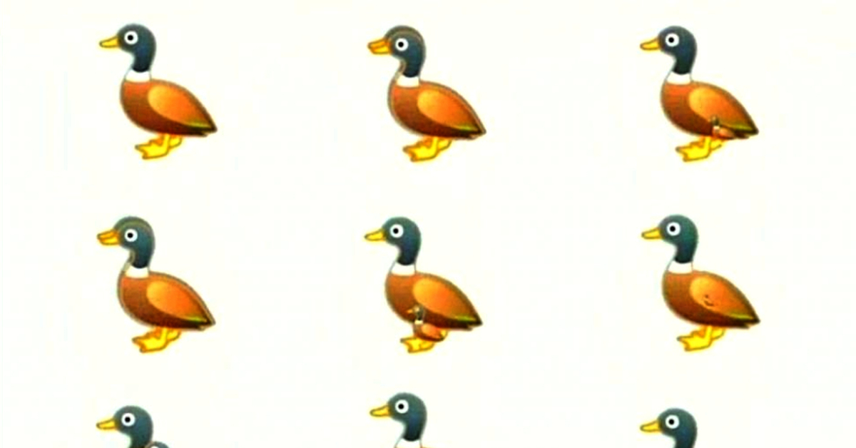 Тест на внимательность утки. Перфоманс утиный тест. Утки в ряд. Тест утки. Найти утку.
