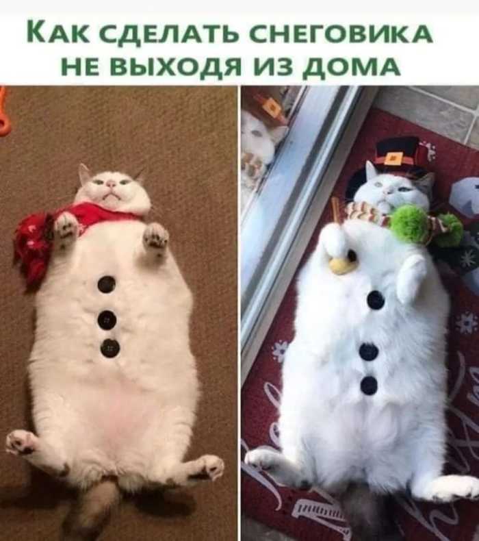 �� ������� ���������? ���, ������ ���������