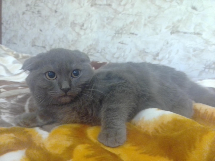 ���� ����