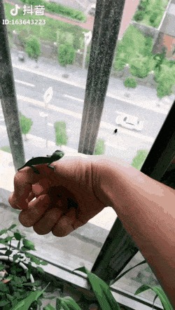   , , , 