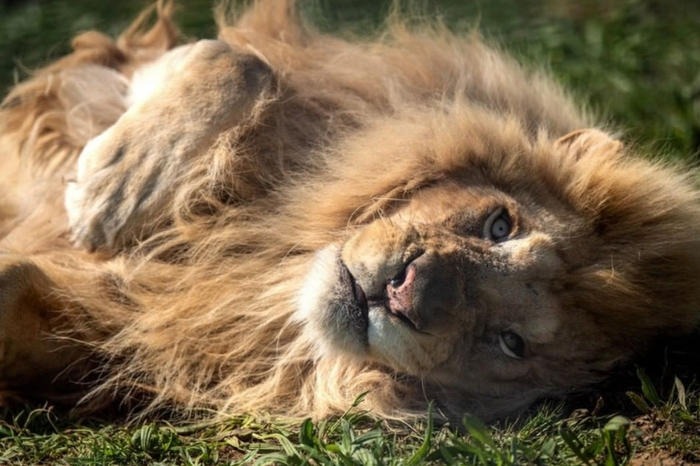 ����� �� ���� �������������� ��� � ����