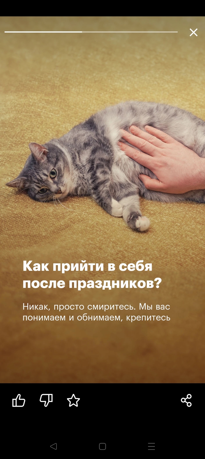  ,  , ,  , , 