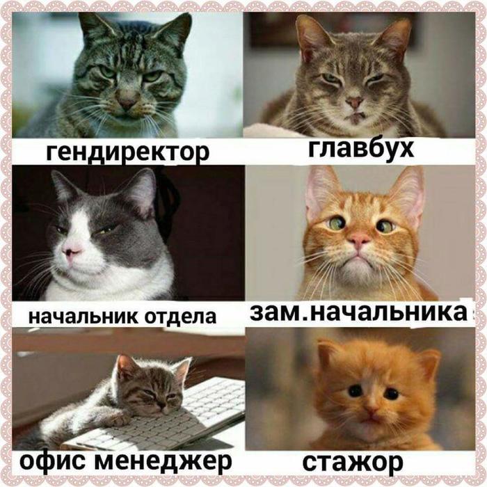 Офисные будни