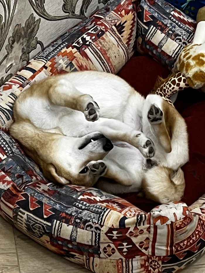 ����� ����, �������, � ����������