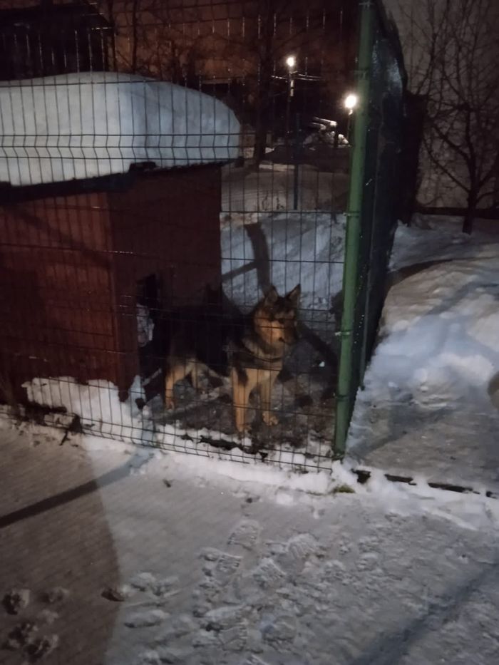   -     .  ,  .   .   !