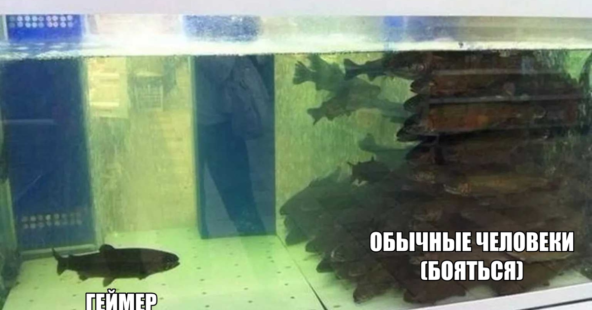 ребята отходить. завязался узлом юмор. гоп стоп игра 3. ребята отходить. цитаты с острым юмором.