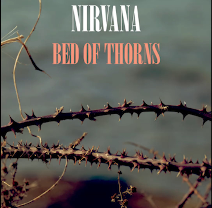Bed Of Thorns