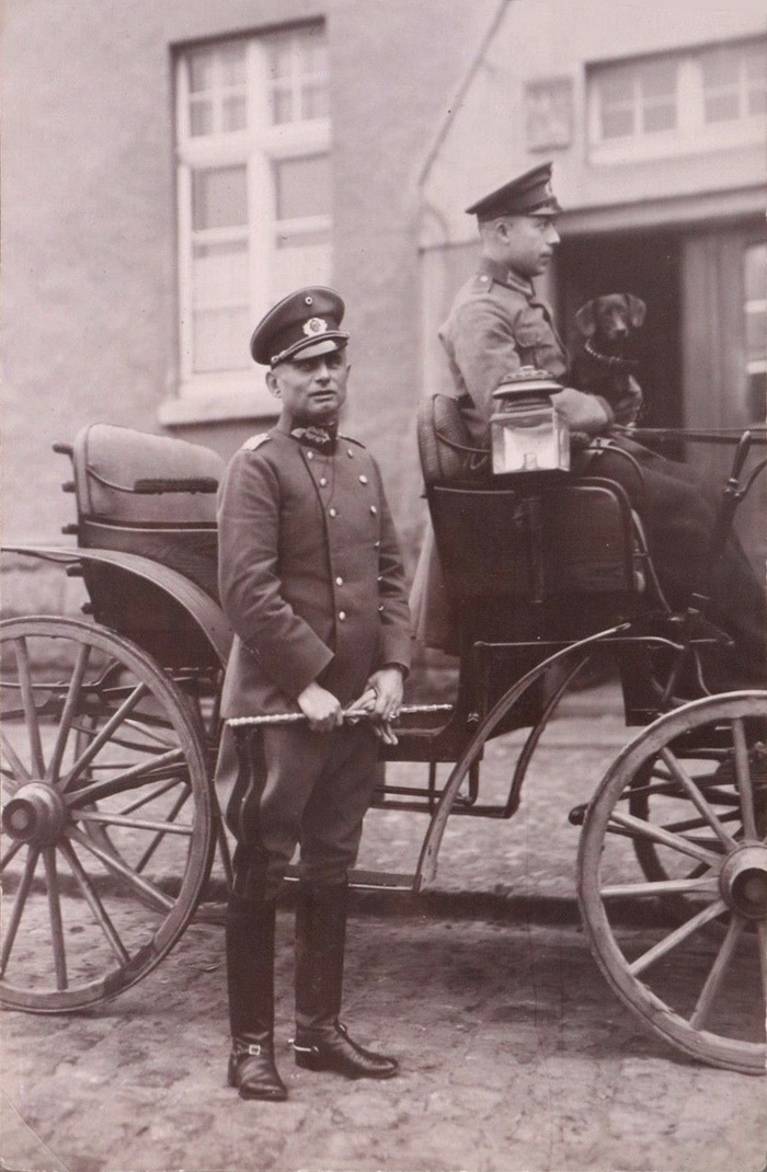 ��������� ����������. �������� �������������