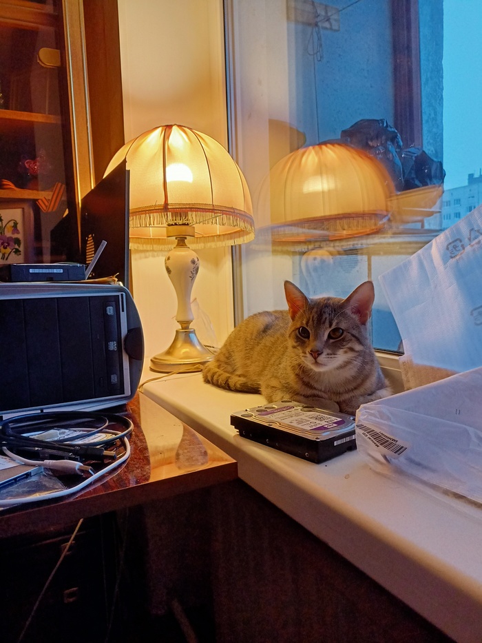 ���� ���������