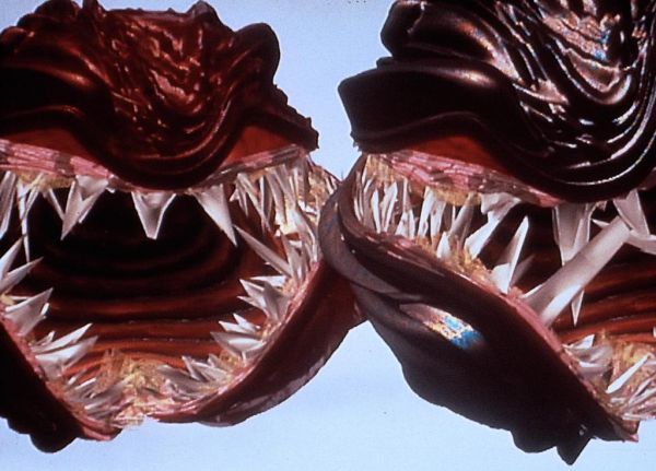 Перед полётом надо посмотреть