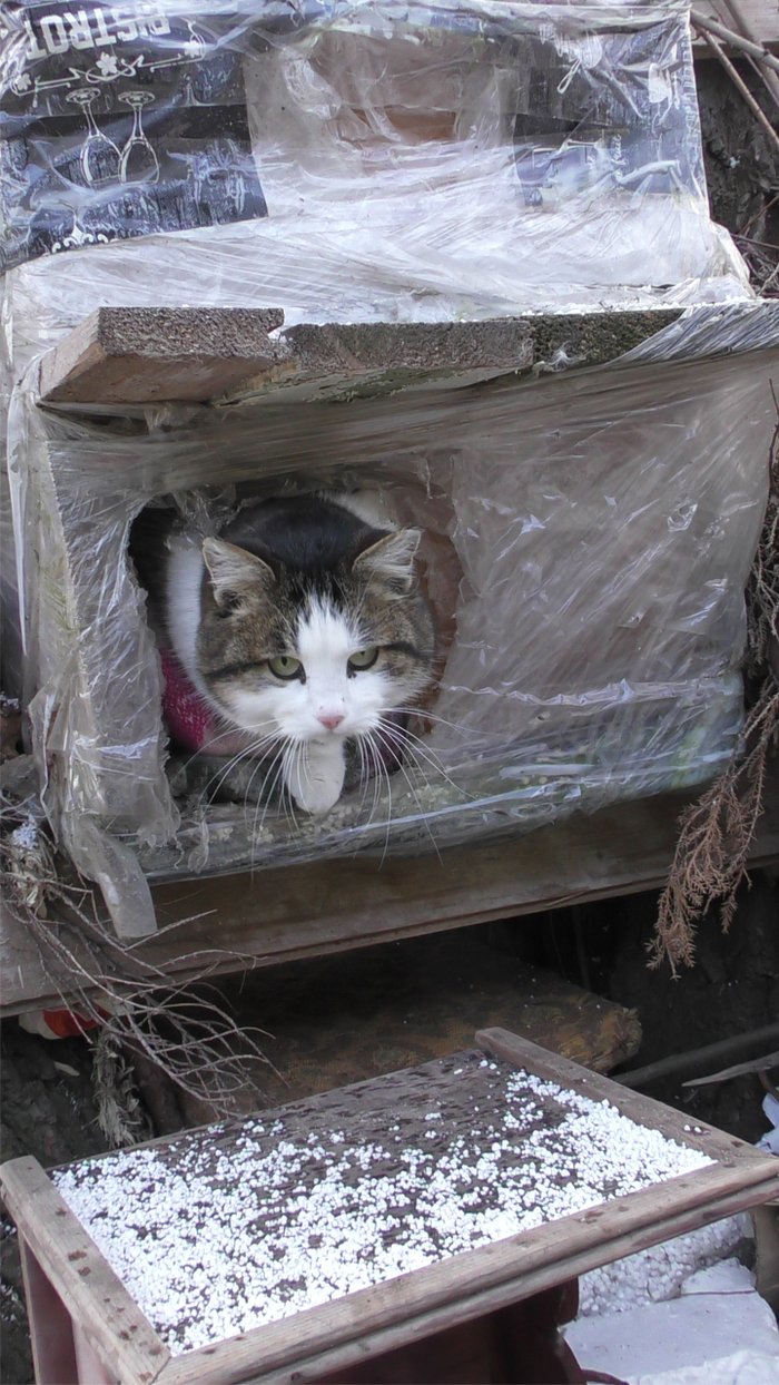 Живу я здесь!