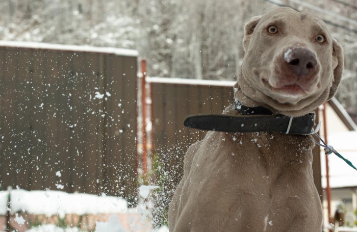 В Сочи выпал снег)