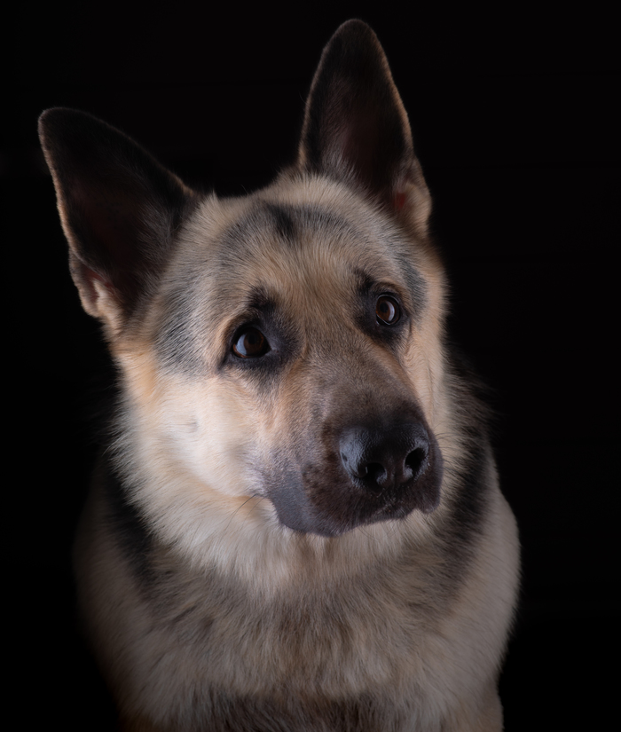 ������_2