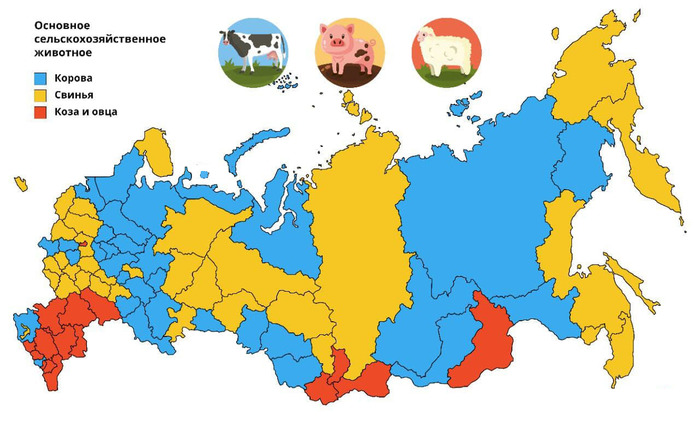 Основное сельскохозяйственное животное по регионам России