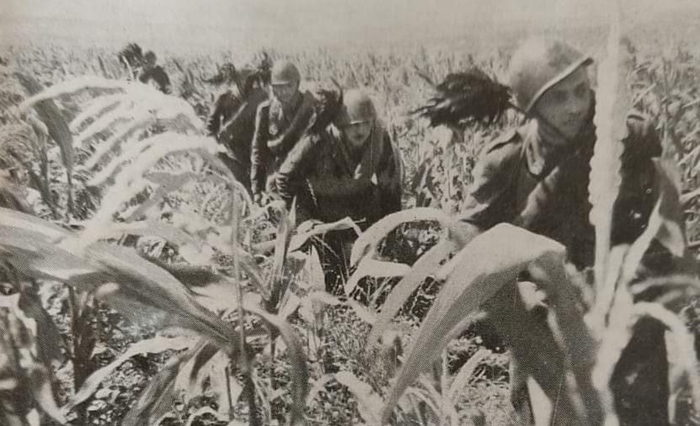 Итальянские солдаты в полях Донбасса, 1941 год