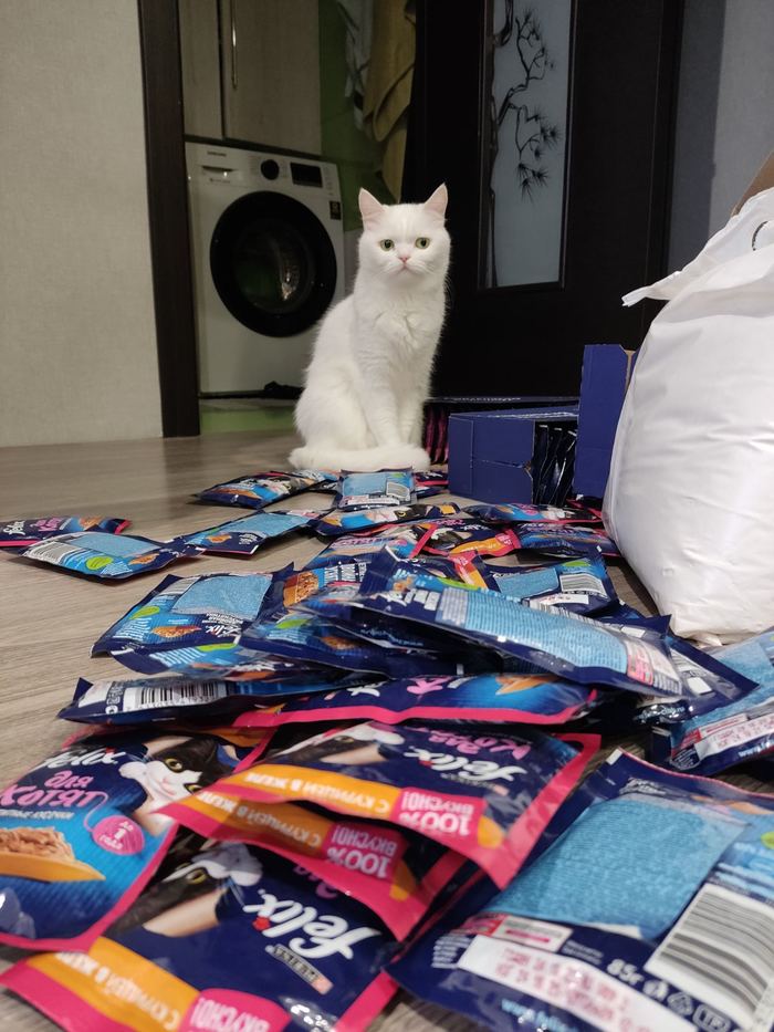 ��� ��������