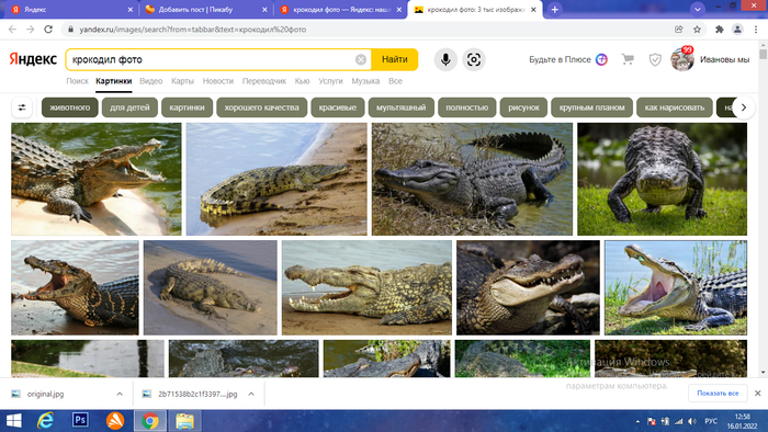 Какого цвета крокодил? Животные, Крокодилы, Пензенский океанариум, Длиннопост