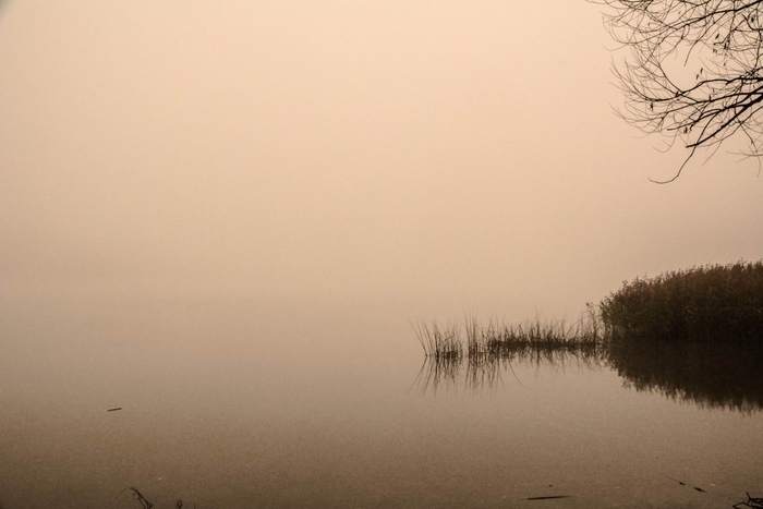 ����� �� �����