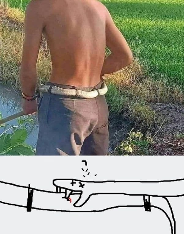 �� ����������� ����