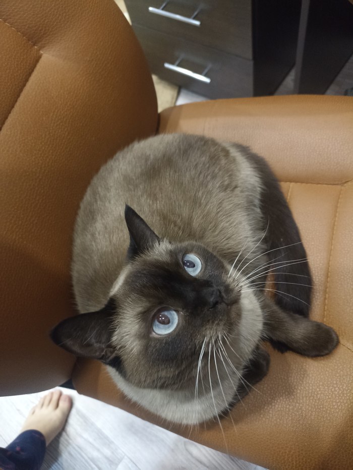 ������� ����