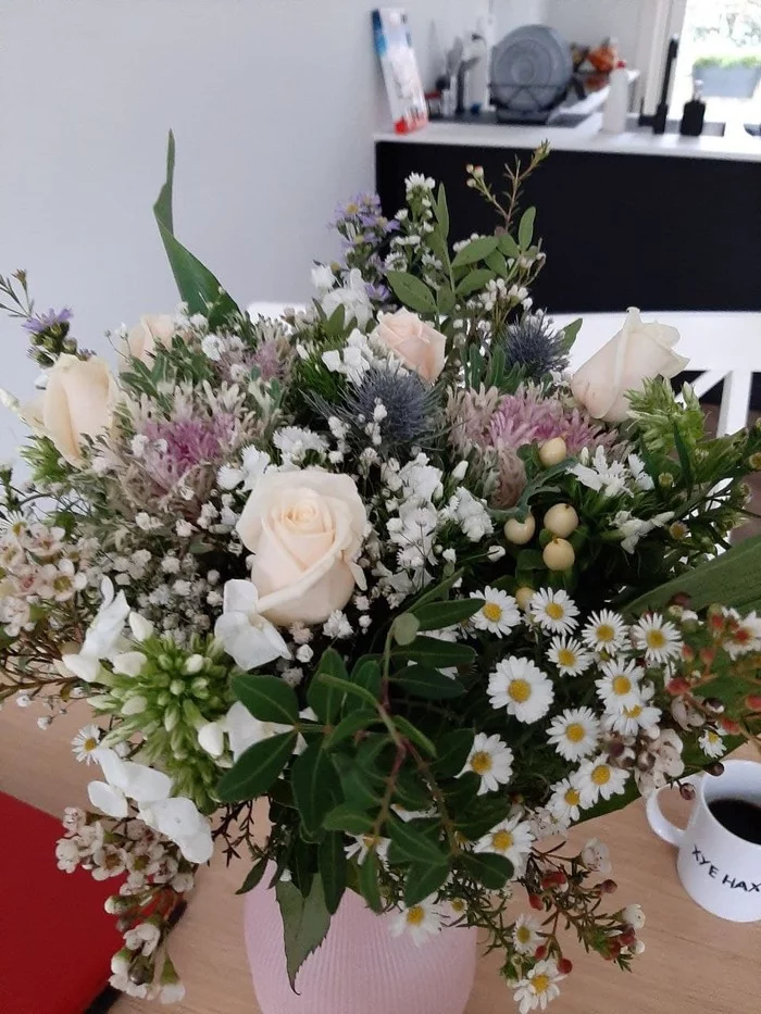 Полгода в Нидерландах. А так ли дорого здесь жить? Европа, Нидерланды (Голландия), Люди, Блог, Длиннопост