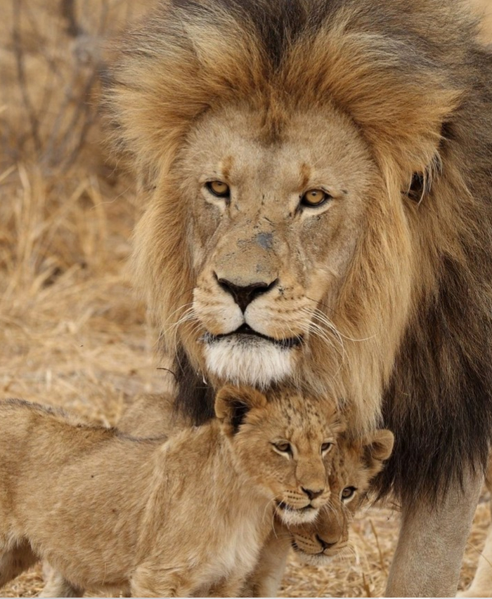 Уставший папа...