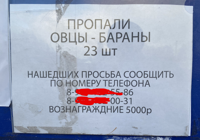 � ����������� ������ �� ����������� ����� � ����������� ���������� ��������������