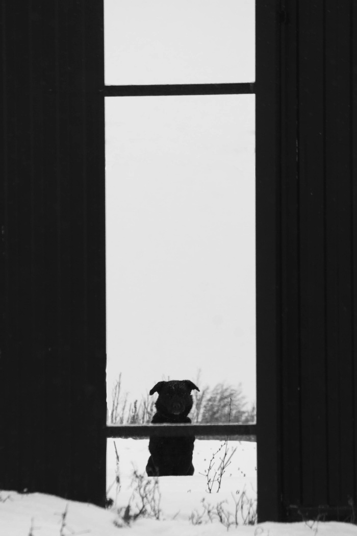 ���� � ���