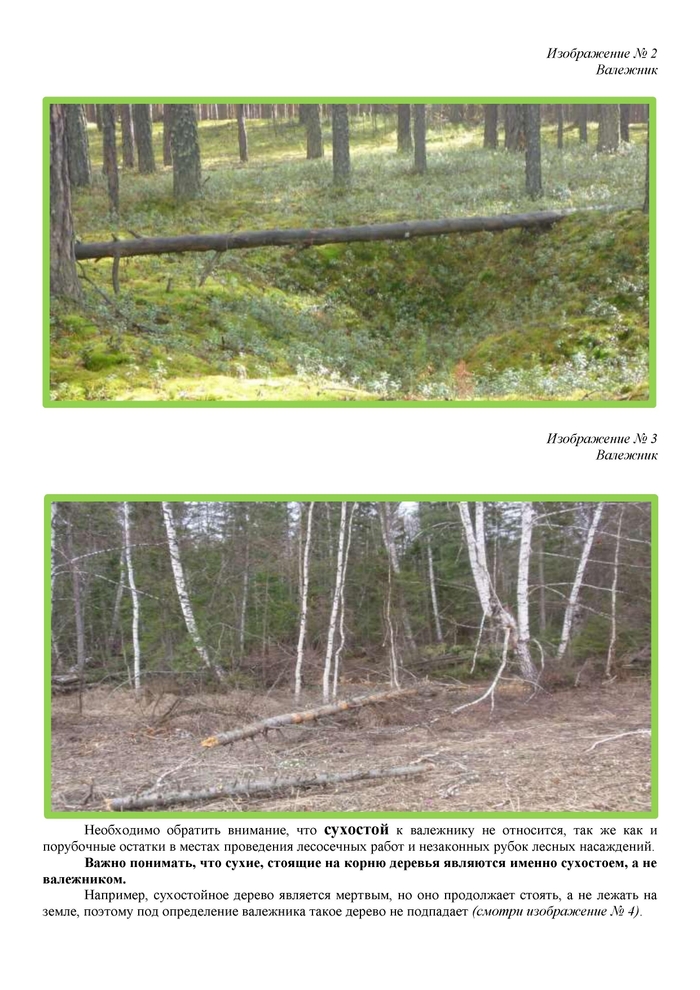Памятка по сбору валежника Закон, Лес, Право, Штраф, Длиннопост