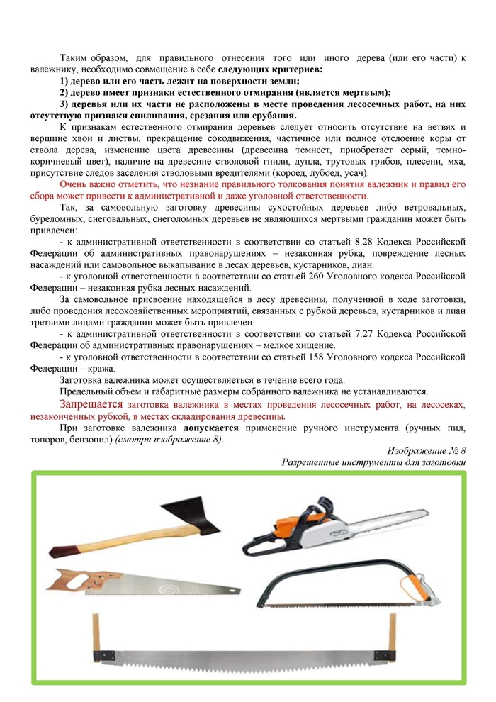 Памятка по сбору валежника Закон, Лес, Право, Штраф, Длиннопост