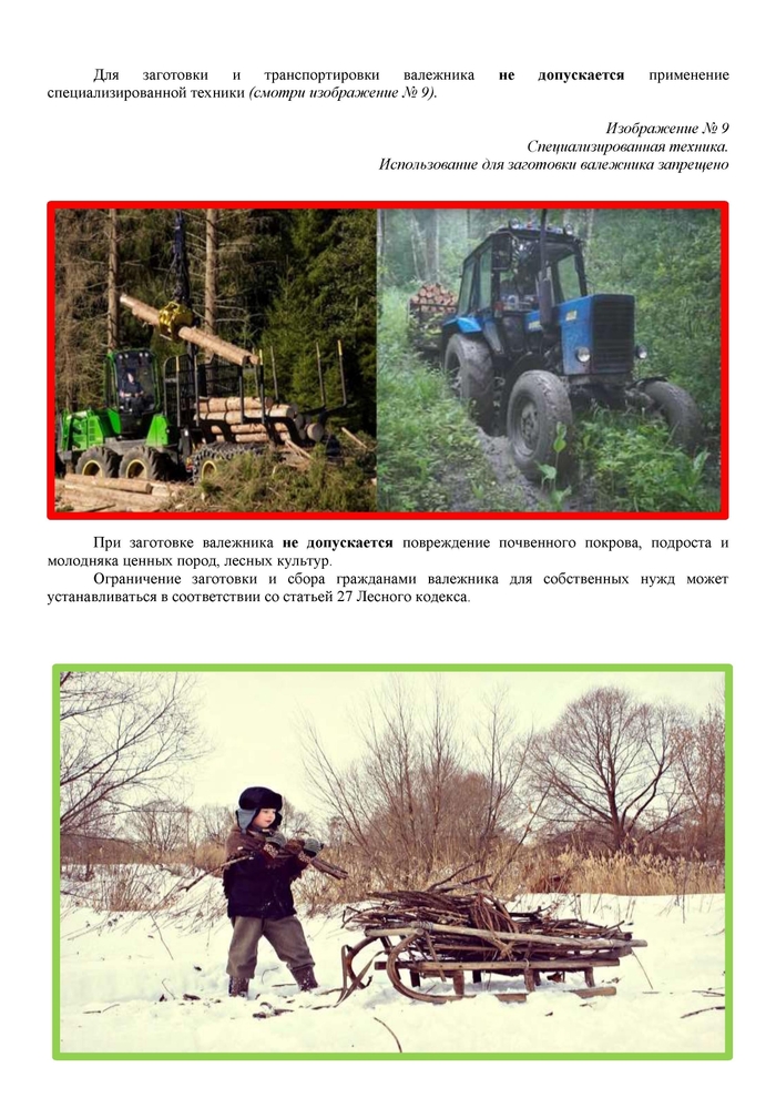 Памятка по сбору валежника Закон, Лес, Право, Штраф, Длиннопост