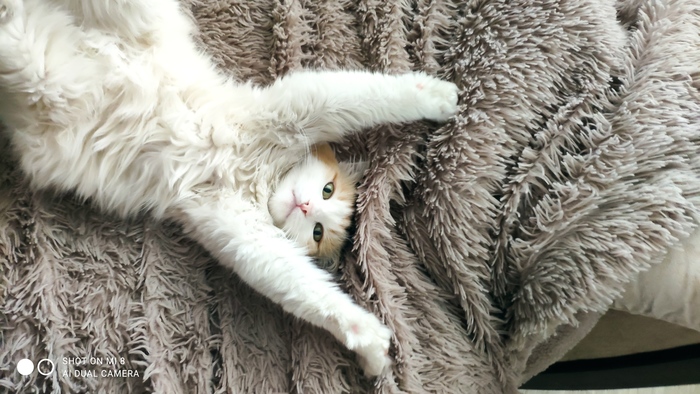  , , , ,  