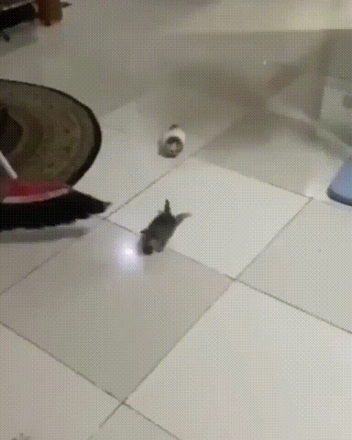 видео страшно очень страшно если бы мы знали что это такое мы не знаем что. Смотреть фото видео страшно очень страшно если бы мы знали что это такое мы не знаем что. Смотреть картинку видео страшно очень страшно если бы мы знали что это такое мы не знаем что. Картинка про видео страшно очень страшно если бы мы знали что это такое мы не знаем что. Фото видео страшно очень страшно если бы мы знали что это такое мы не знаем что видео страшно очень страшно если бы мы знали что это такое мы не знаем что. Смотреть фото видео страшно очень страшно если бы мы знали что это такое мы не знаем что. Смотреть картинку видео страшно очень страшно если бы мы знали что это такое мы не знаем что. Картинка про видео страшно очень страшно если бы мы знали что это такое мы не знаем что. Фото видео страшно очень страшно если бы мы знали что это такое мы не знаем что